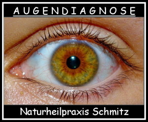 Offenes Auge, braunblau, Irisstruktur gut sichtbar